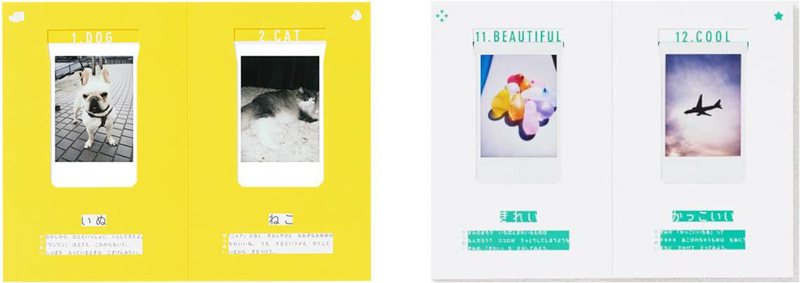 「写真のない図鑑」内装。テーマごとに色分けされ、ひらがな表記されている点など、子供向けのレイアウト。