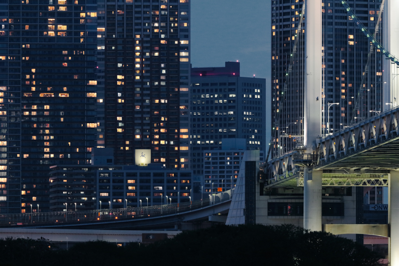 その先を感じさせる空を排除することで、息が詰まるような都会の姿を表現した。シャープな描写が都会の冷たさや厳しさを感じさせている<br>キヤノン EOS 5Ds R / EF400mm F4 DO IS II USM / 400mm / マニュアル露出（F8、1/6秒） / ISO 2000