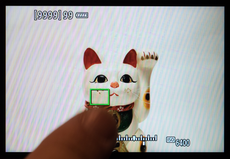 液晶モニターは約162万ドットの高精細で、大型・広視野角の3.2型クリアビュー液晶IIを搭載。さらにEOS-1D系としては初めてタッチパネル背面モニターが採用された。タッチ機能が有効になるのは、ライブビュー撮影時のAFフレームの移動と拡大表示のみ。「ライブ1点AF」モードの際にAFエリア内の任意の位置にAFフレームを移動可能。なおタッチシャッターには対応していない。