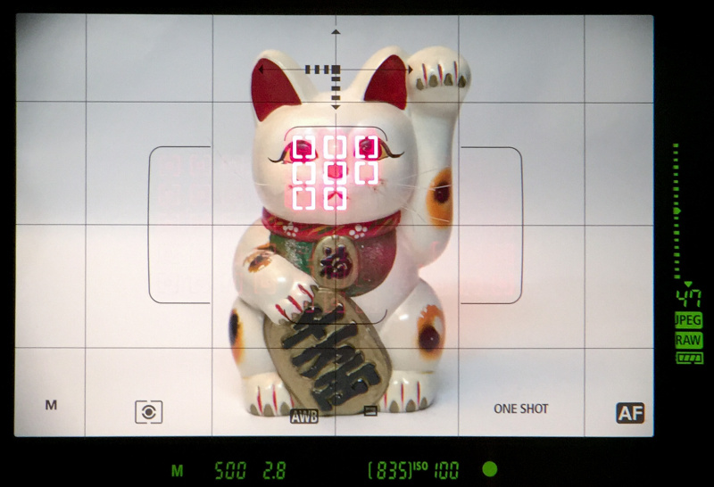ファインダーは視野率約100%、倍率約0.76倍。ファインダー外縁および下部の液晶による画像タイプ、撮影モード、露出設定値などの表示のほかに、内蔵された透過型液晶にはグリッドや各種設定値の表示が可能。AFエリア枠と選択AFエリアも透過型液晶に表示される。フォーカス合焦時にはスーパーインポーズで測距点が赤く光るようになった。これはEOS-1D Mark IVまではあった機能だったが、EOS-1D Xでは非対応だったものだ。フォーカス合焦が暗所でも判別しやすいので、これはありがたい復活といえる。この画像のファインダー像に見られる周辺減光は、参考のためファインダー内を別のカメラで撮影したときに発生したもの。