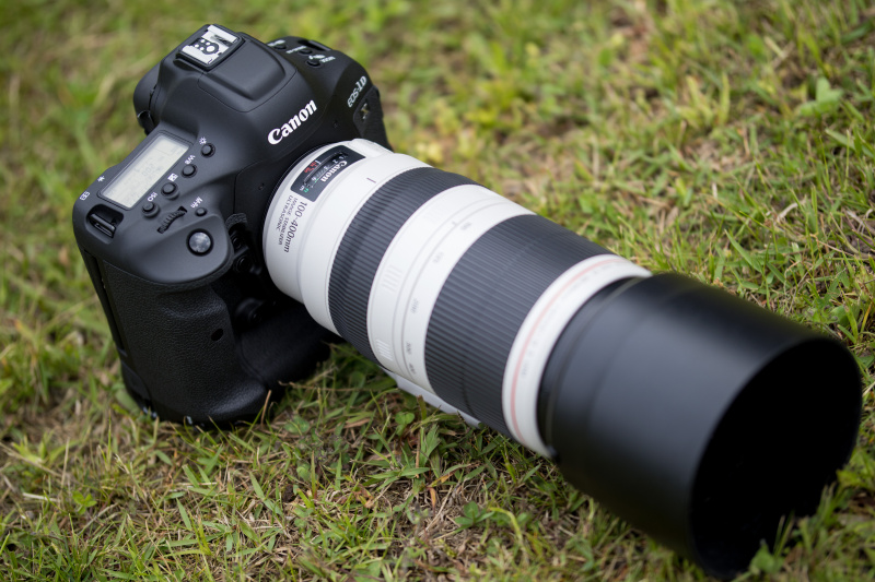 EOS-1D X Mark II（2016年4月発売）。本稿掲載時点の実勢価格は税込73万2,240円前後。