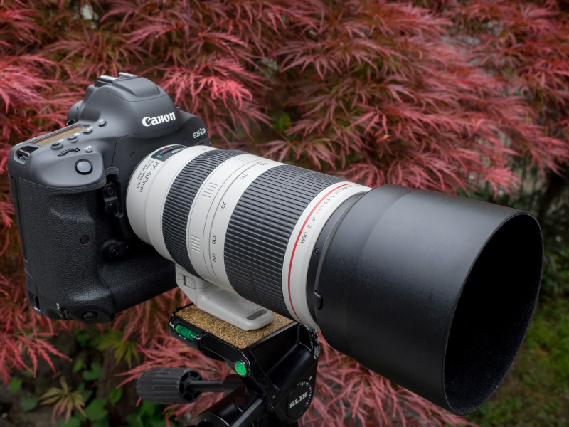 EF100-400mm F4.5-5.6L IS II USM
