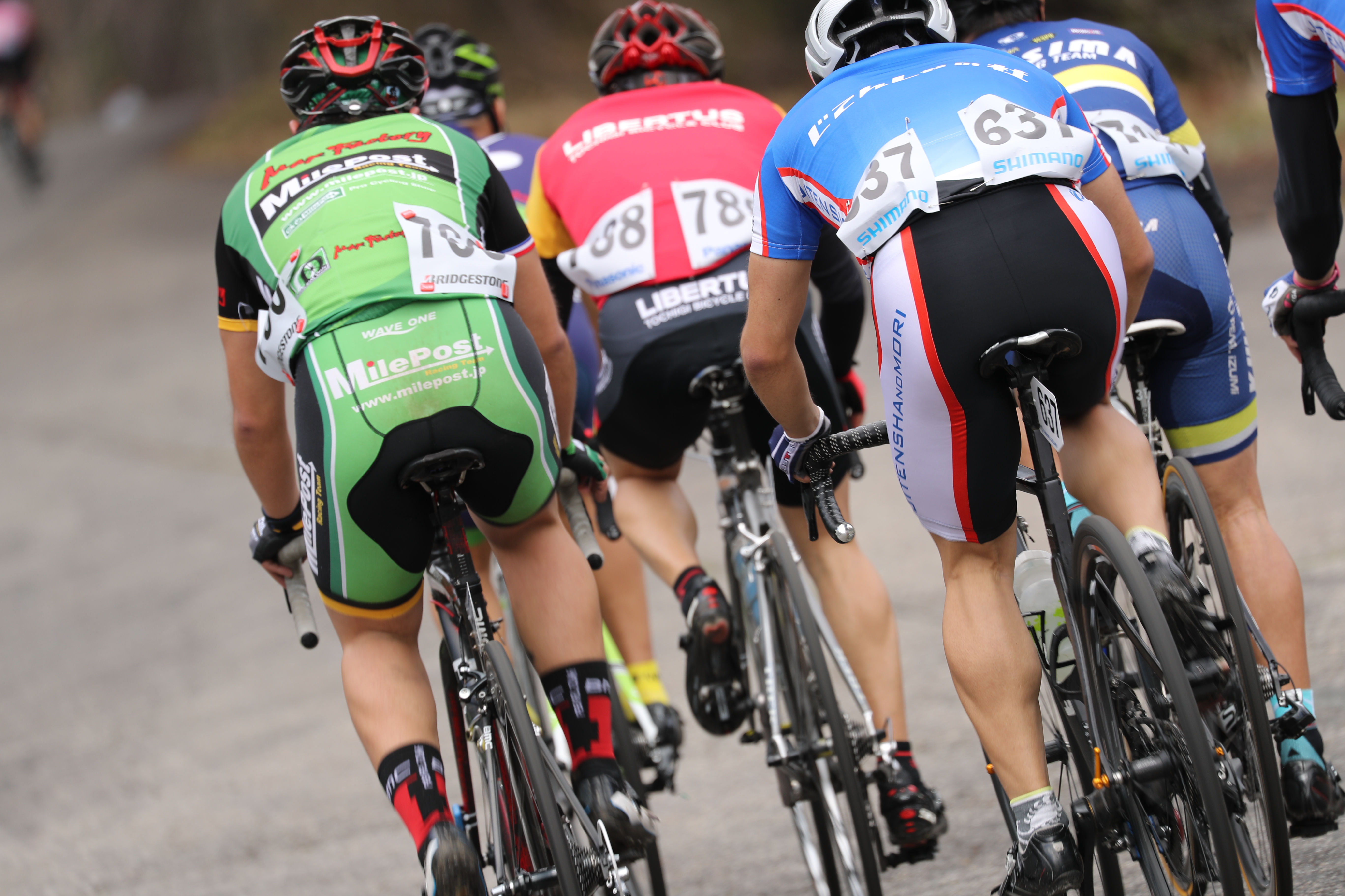 EF100-400mm F4.5-5.6L IS II USM / AIサーボAF / ラージゾーンAF（中央） / ISO100 / F5.6 / 1/160秒 / +0.3EV / 400mm