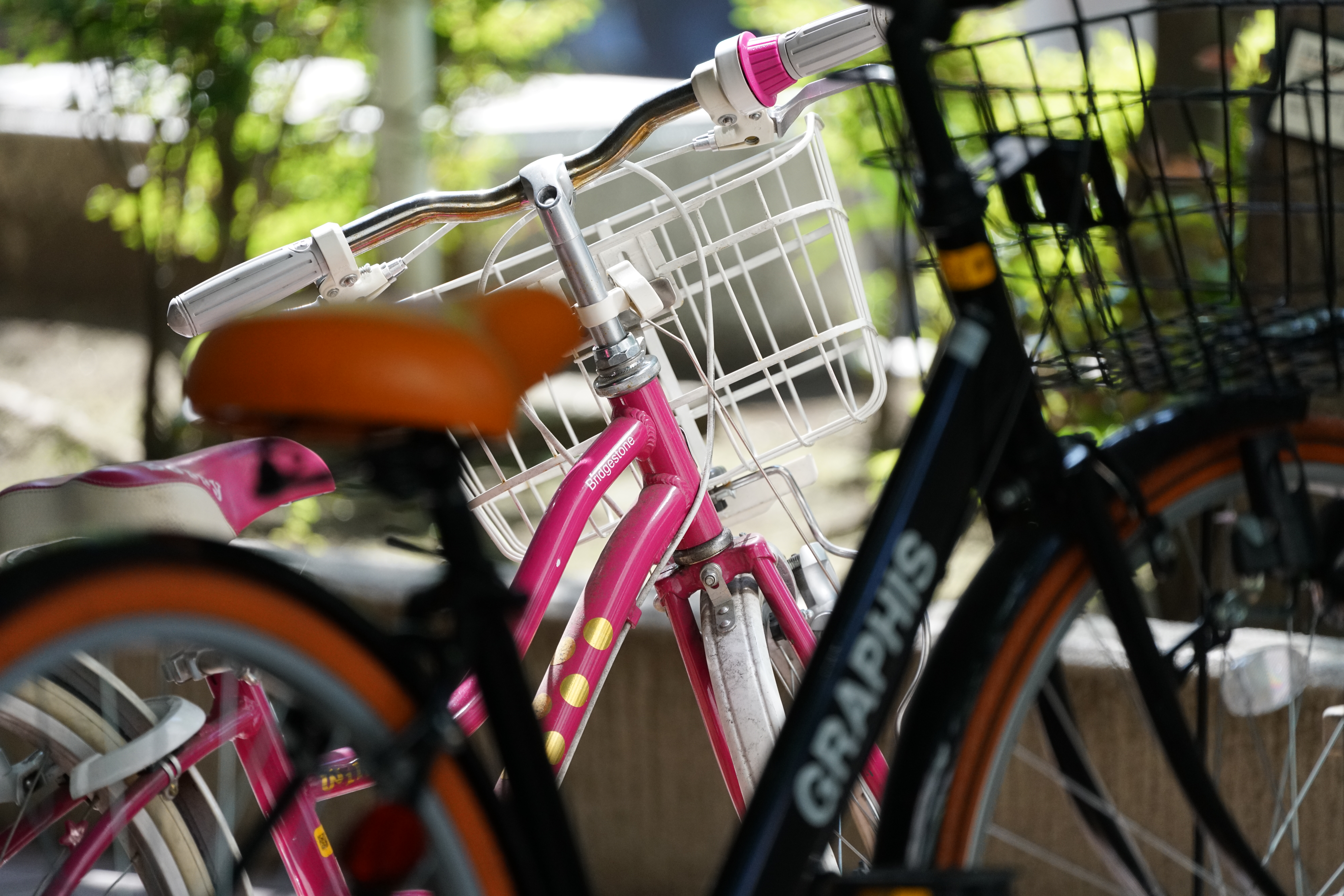 α7R II / 1/1,000秒 / F5.6 / ISO1600 / シャッター優先AE / 300mm