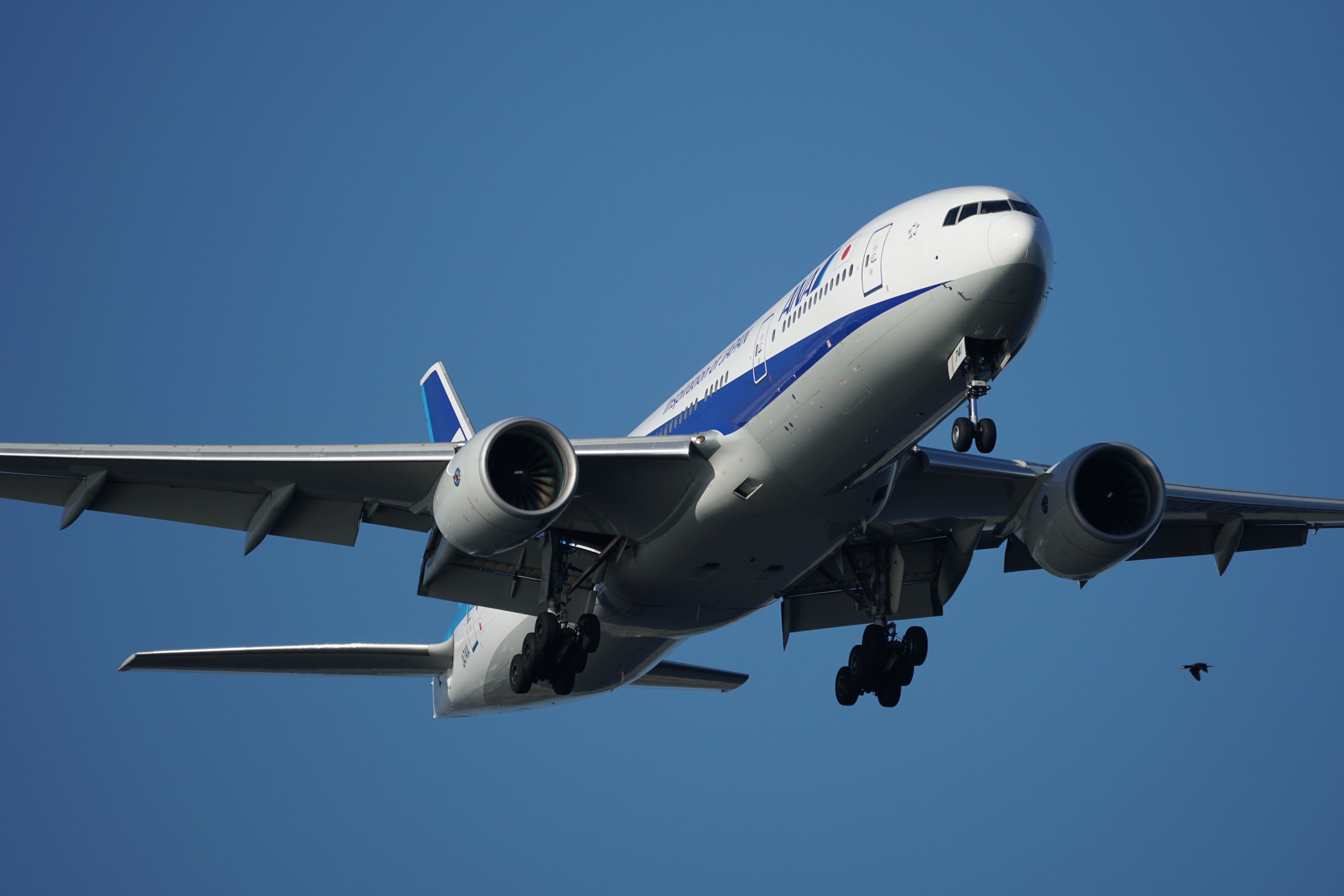 α6300 / 1/1,600秒 / F5.6 / ISO160 / シャッター優先AE / 300mm