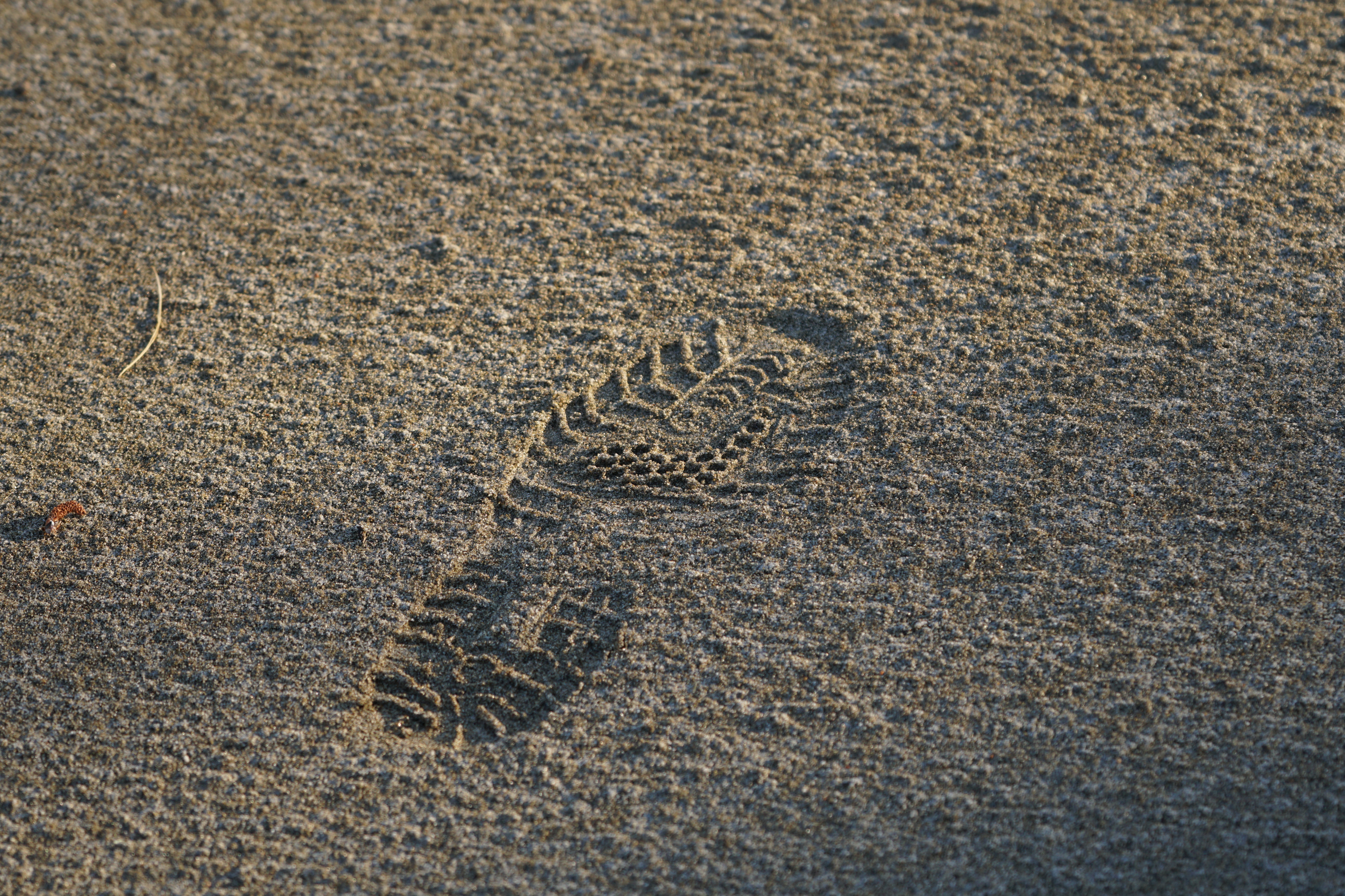 α6300 / 1/200秒 / F5 / ISO125 / プログラム / 120mm