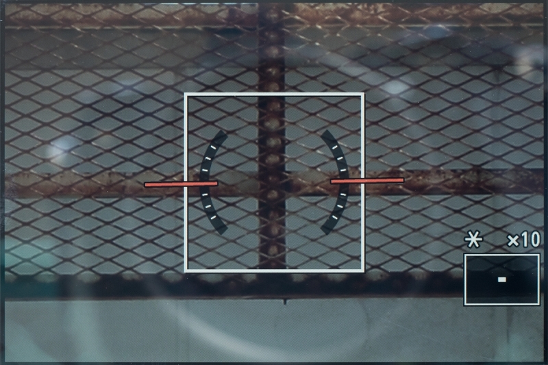 ライブビューで10倍に拡大して、MFでピントを合わせた状態。これを基準にAF微調整を行なう。なお、この画面は屋外で撮っているので写り込みがちょっと気になるかもしれないが、そのへんはご容赦いただきたい。それと、ここでは説明用に後ピンのレンズという設定で画面撮影などを行なっているので、そのへんもご理解いただきたい