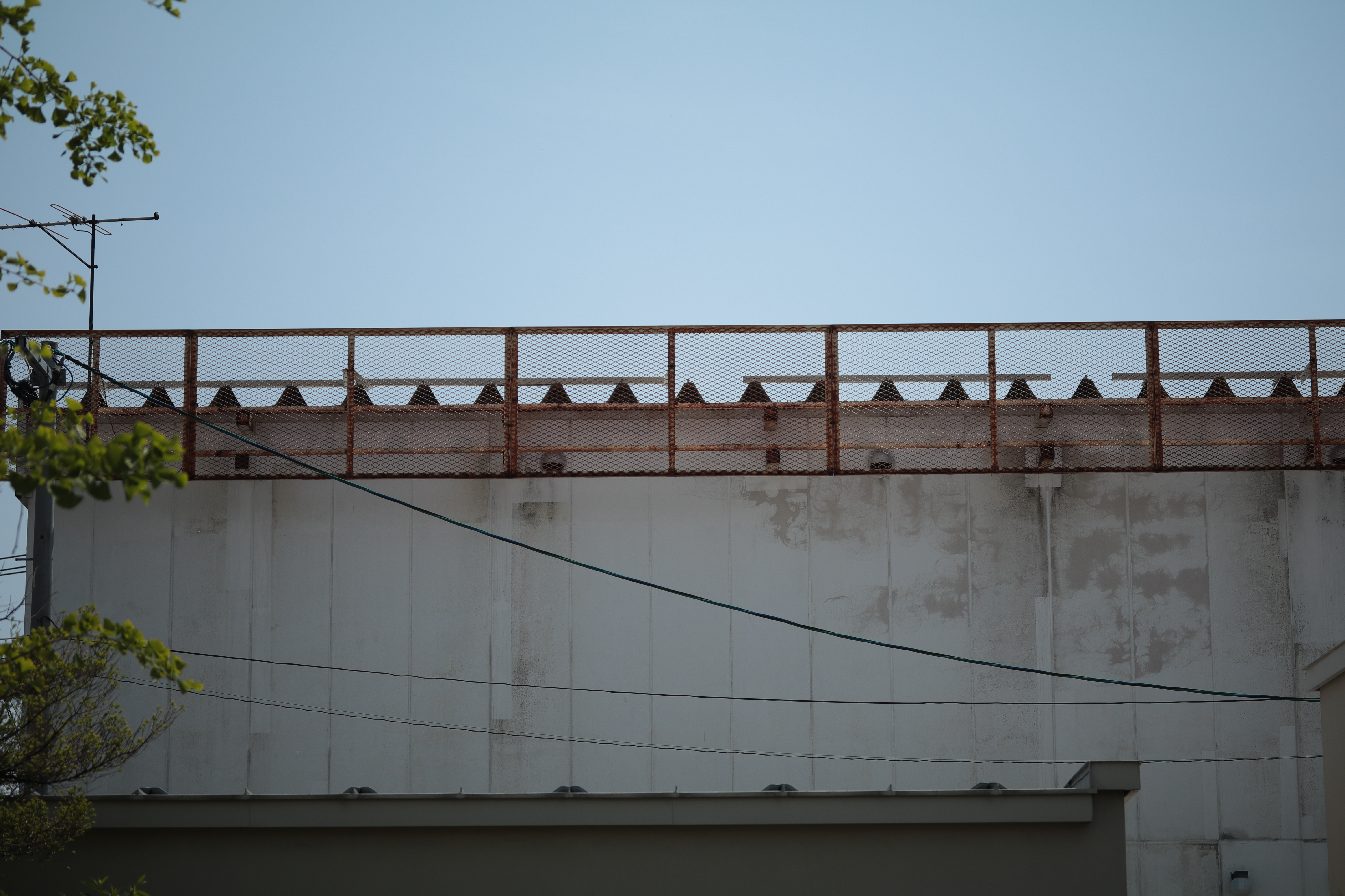 こちらが実写画像。ピントぴったりである