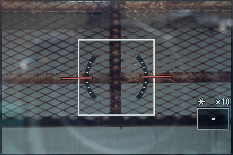 「-10」に設定した状態で、ファインダーの位相差AFでピント合わせを行ない、ライブビューの拡大表示でピントの合い具合を確認する。まだ少しアマいのでさらに調整が必要なので、設定値を変えて同じ手順を繰り返して追い込んでいく