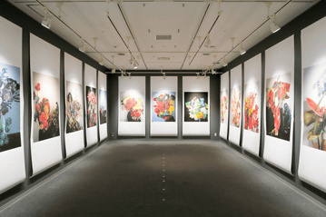 【希少 非売品】「東京墓情 荒木経惟×ギメ東洋美術館」カタログ写真集 画像】アラーキーが独自の死生観で生を激写する 『東京墓情 荒木