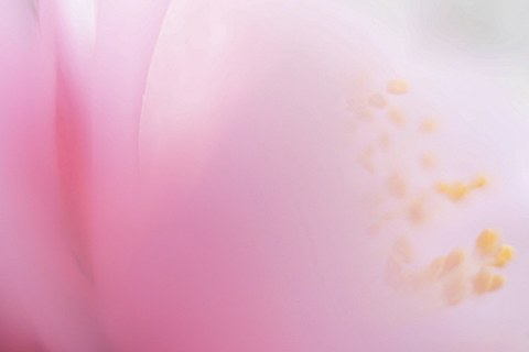 伊藤真吾写真展：NO EXCUSE - デジカメ Watch