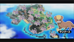 ポケットモンスター サン ムーン に アローラコラッタ 登場 Game Watch