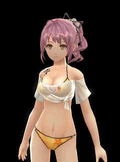アニメ風キャラクター 水着イラスト 東亰ザナドゥeX+」、女性キャラ専用DLC「プライベート水着」の情報を