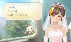 3DS「めがみめぐり」、「コレクターズ・パッケージ」 - GAME Watch