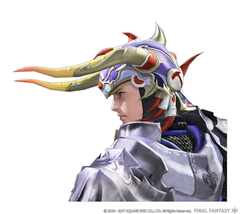 ファイナルファンタジーXIV 紅蓮のリベレーター コレクターズエディション特典 ファイナルファンタジーXIV: 紅蓮のリベレーター