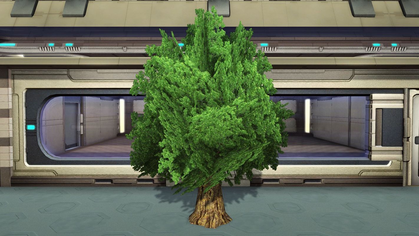 ワイドツリー:マイルームに設置可能な装飾品