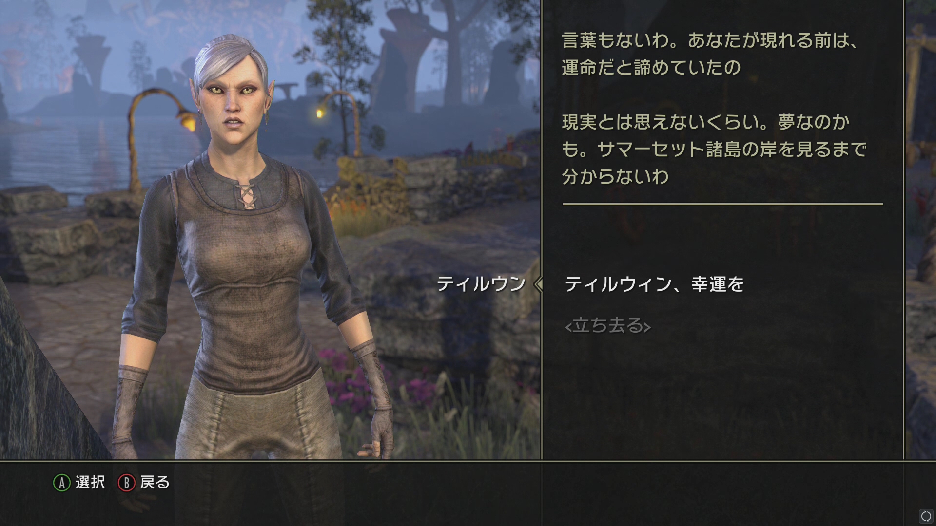 本作の隠されたテーマとしては、ダークエルフを頂点とする階級社会のあり方について色々考えさせられる。これまでアルゴニアンの迫害っぷりは色々見てきたが、ハイエルフすら奴隷として売買されてしまう場合もあるようだ