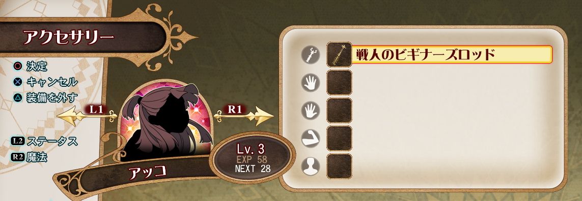 アクセサリーを装備できるのは全部で5カ所