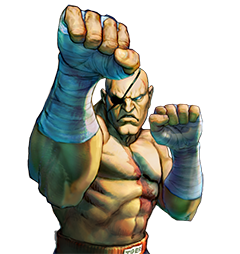 ストリートファイター2 サガット　佐賀県　コラボ　有田焼　CAPCOM 20180111104257_837_.jpg