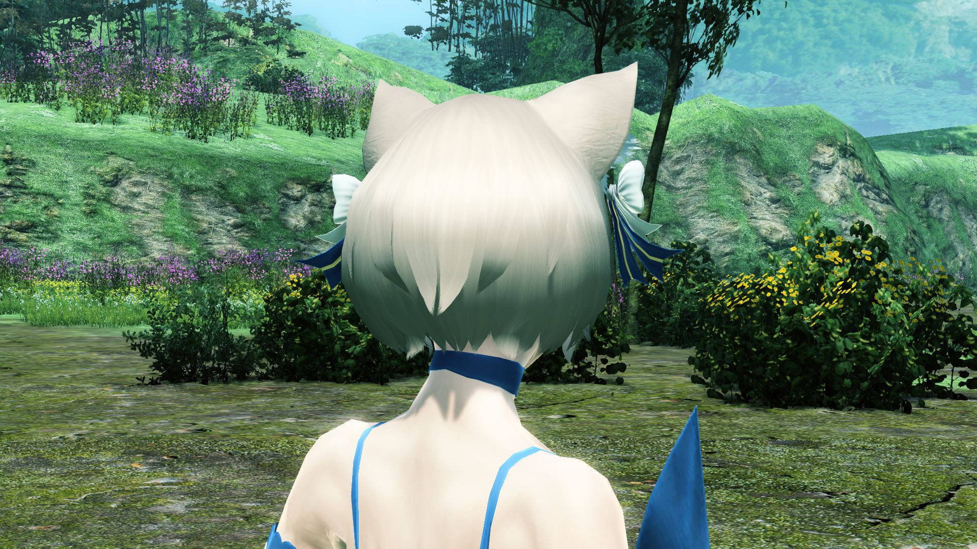 フェリスのリボン