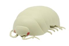 バンダイ、丸くなる体を再現したカプセルトイ「だんごむし」を発売決定