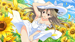 シノビマスター 閃乱カグラ NEW LINK」、夏コーデの「日影」、「夕焼