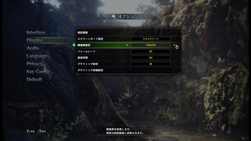 グラフィックスの設定はかなり細かく調整が可能。自身のPCのスペックをオーバーした設定にすると、きちんと警告も表示される