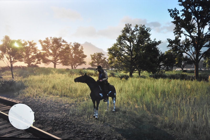 PS4 Proで「RDR2」を遊んだ時の違い。上がフルHD、下が4K。フルHDを超えた4Kモニターでプレイすることで、世界はぐっとリアリティーを増す