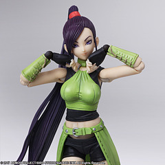 ドラゴンクエストXI 過ぎ去りし時を求めて」より女武闘家