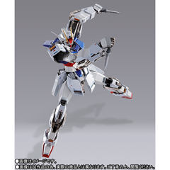 METAL BUILD∞ -メタルビルドインフィニティ-」開催記念商品「METAL