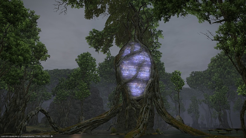 深い森の中には、鳥や動物の声、水音などの環境音が豊富に響きわたっている