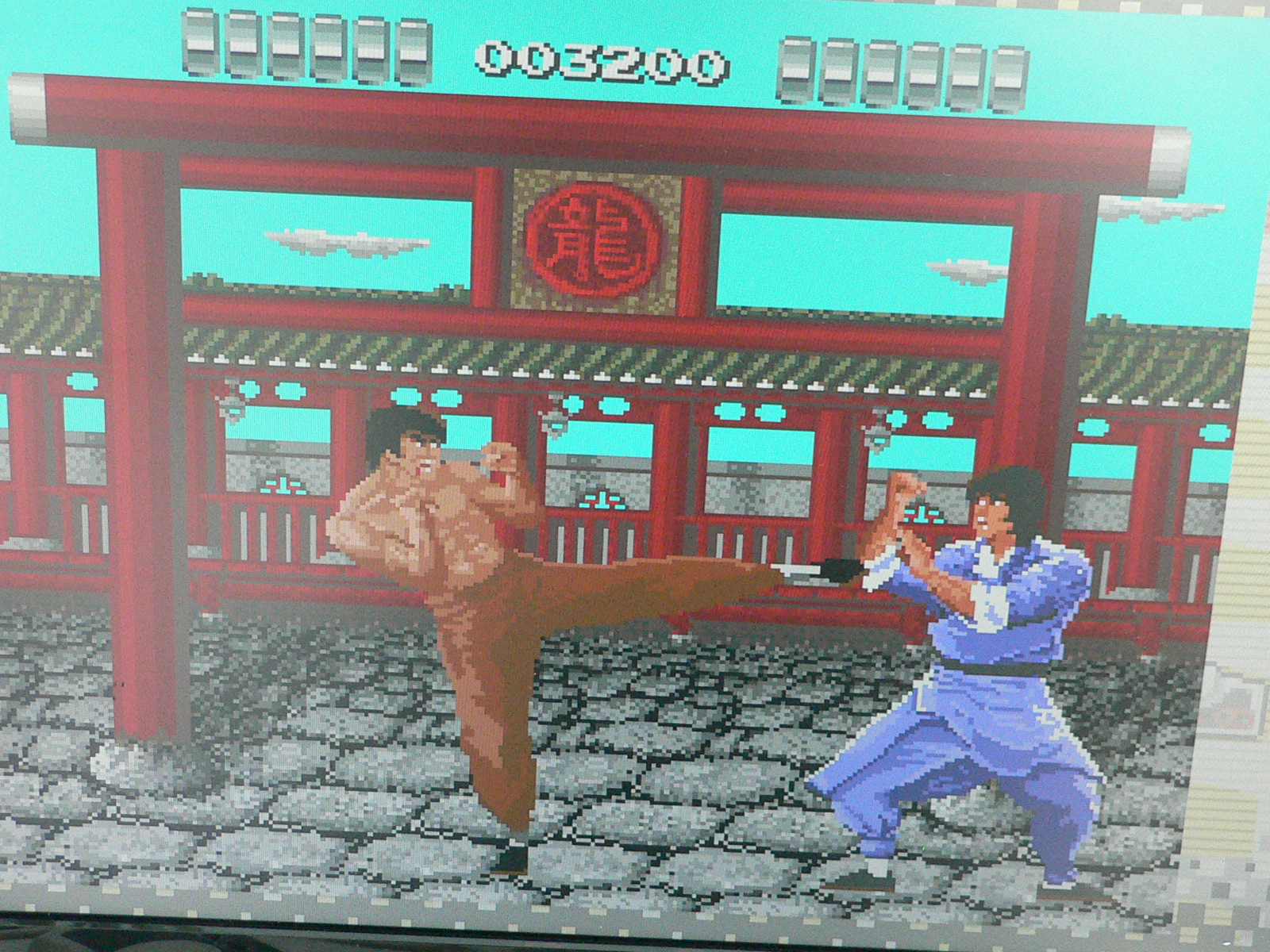 1987年に発売された、主人公の拳法家を操作してパンチやキックで敵を倒していくアクションゲーム。発売当時は。服のシワまできめ細かく描かれたCGの美しさと、巨大なキャラクターが画面上を動き回ることで話題なった