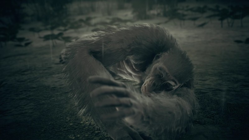 筆者の努力（？）も虚しく、生命活動を終えてしまったヒト科動物。自然界の過酷な洗礼に呆然とする