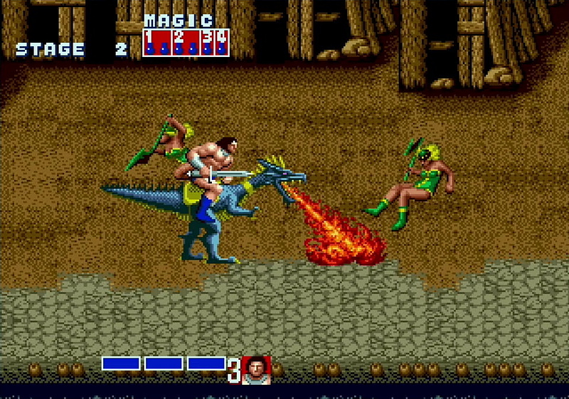 攻撃や魔法、そして乗り物など、幅広い戦い方が楽しめる