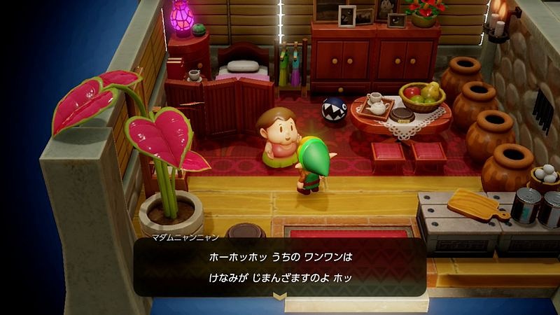 凶暴なワンワンを飼いならすご婦人