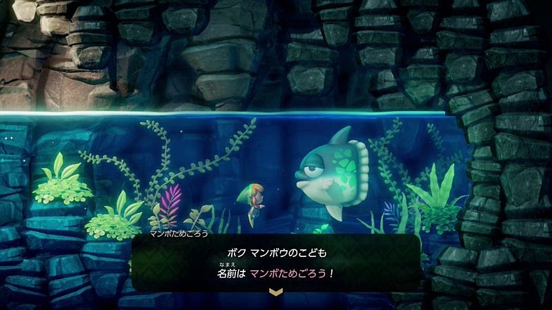 歌が好きなマンボウの子ども。何か一曲聞かせてくれるかも