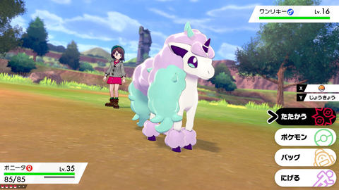 Switch用「ポケットモンスター ソード・シールド」、新ポケモン