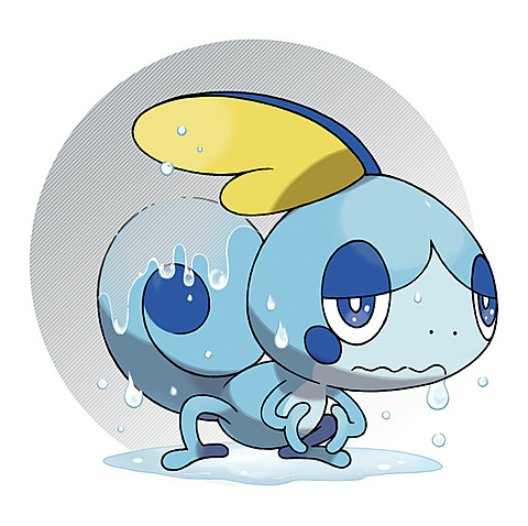 ポケットモンスター ソード・シールドWP ポケモン ソード・シールド(ポケットモンスター ソード