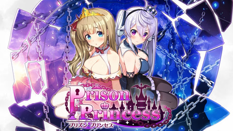 お姫様にタッチ厳禁！ ちょっとHありの新感覚脱出ADV 「プリズン
