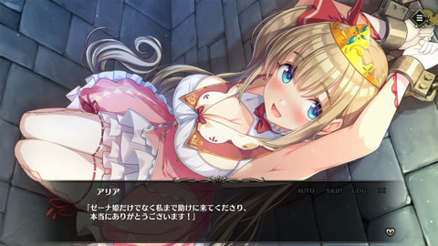 お姫様にタッチ厳禁！ ちょっとHありの新感覚脱出ADV 「プリズン