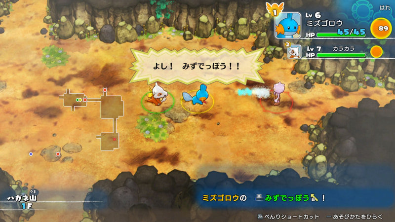 遠くから攻撃できるわざで、離れて戦うチーム