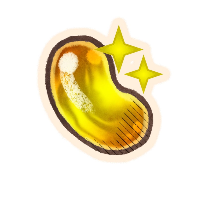 DXグミ：DXグミを与えれば、必ずすごわざを覚える