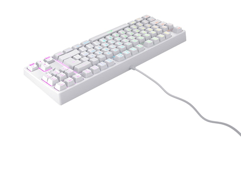 HM66 White ゲーミングキーボード Best One(ベストワン) / HM66 ゲーミングキーボード レンタル