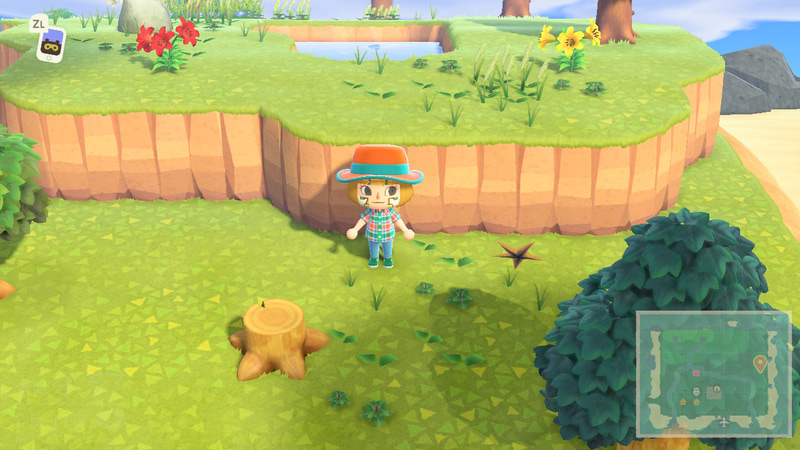 「はしご」がないと登れない崖