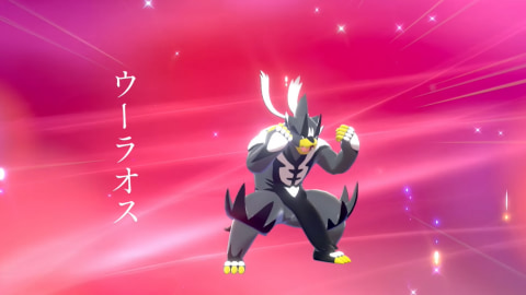 ポケモン ソード・シールド」追加DLC「エキスパンションパス」最新情報