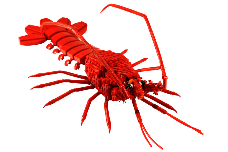 TVチャンピオンで制作した伊勢エビ