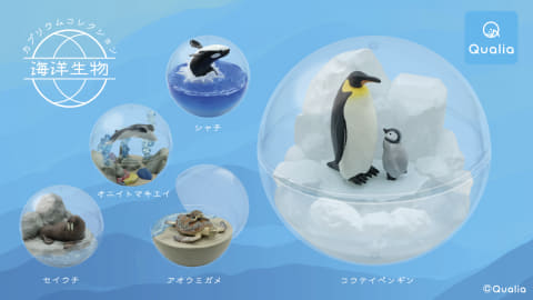 【セイウチ】カプリウムコレクション海洋生物 ガチャ「カプリウムコレクション 海洋生物」発売決定 - GAME Watch