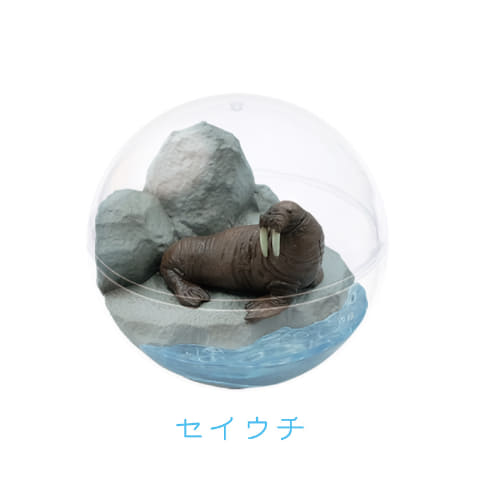 【セイウチ】カプリウムコレクション海洋生物 ガチャ「カプリウムコレクション 海洋生物」発売決定 - GAME Watch