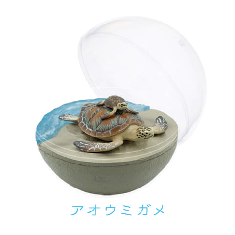【シャチ】カプリウムコレクション海洋生物 クオリア カプリウムコレクション 海洋生物 全5種フルセット