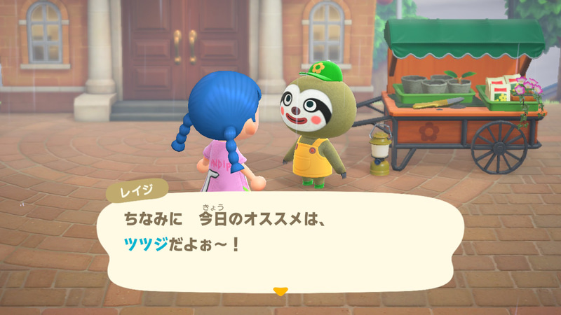 今日のオススメはツツジ！